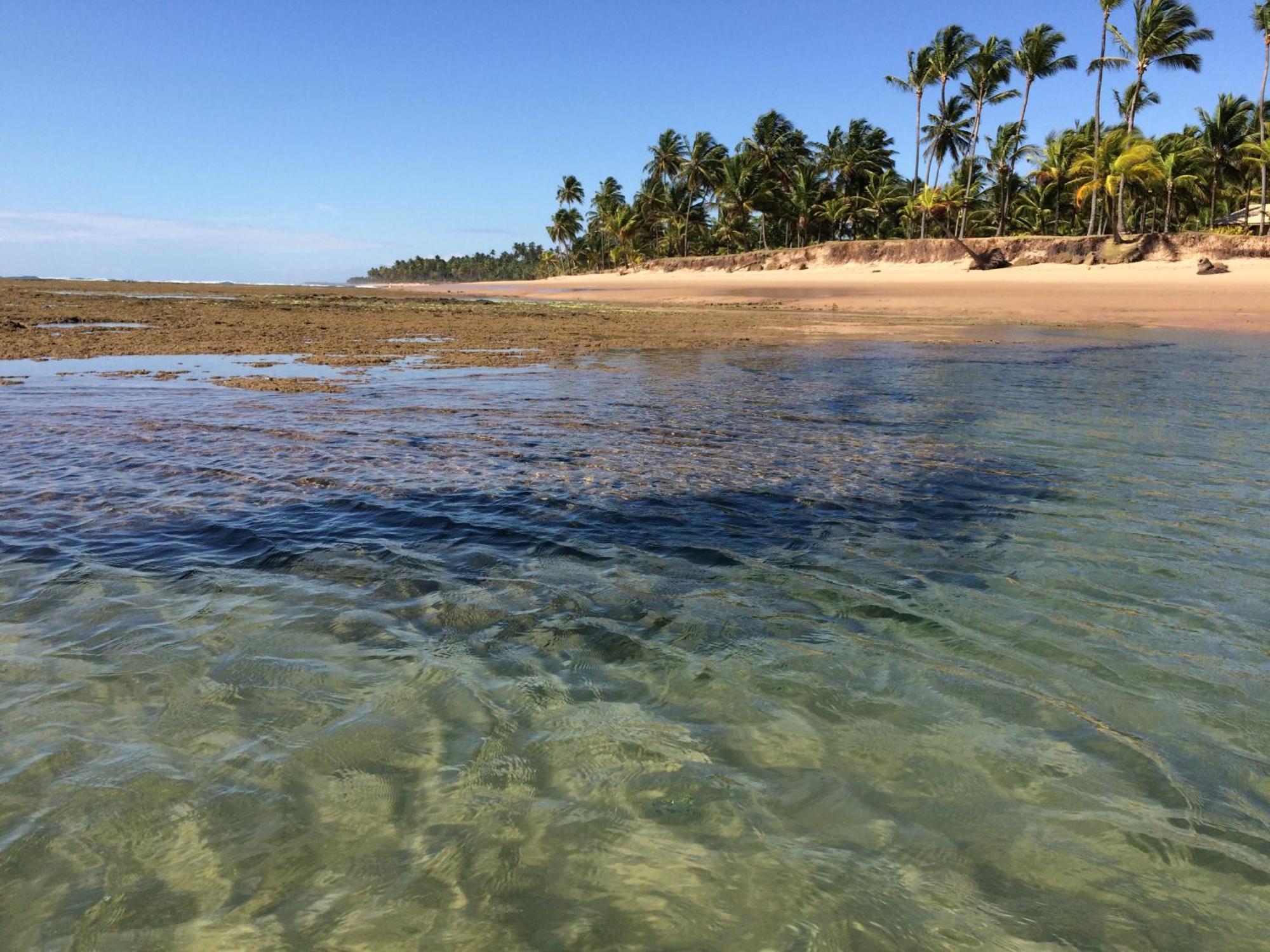Pousada Velas E Vento - Barra Grande, Taipu De Fora, Marau Barra Grande  Buitenkant foto