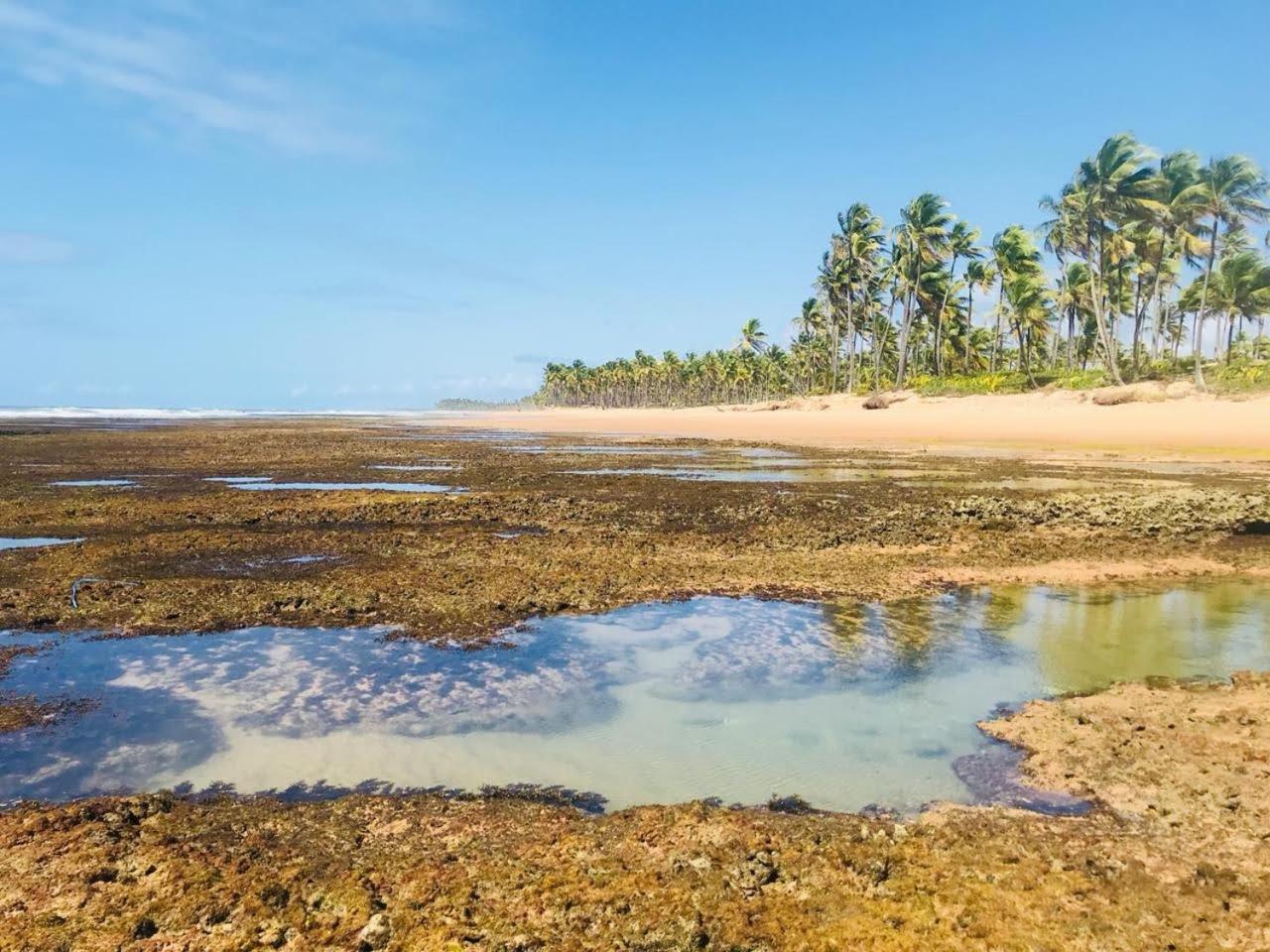 Pousada Velas E Vento - Barra Grande, Taipu De Fora, Marau Barra Grande  Buitenkant foto